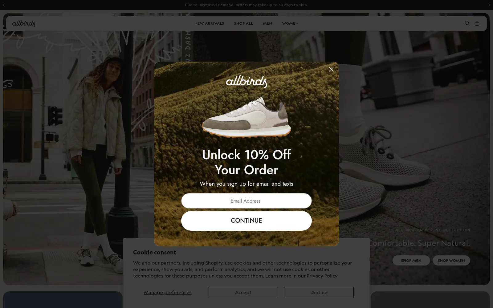 Screenshot of allbirds.com