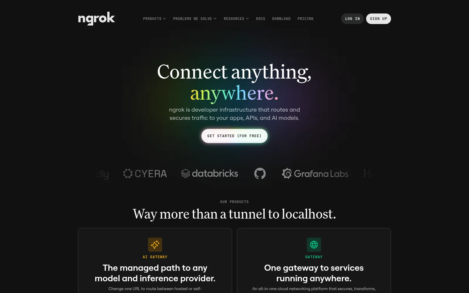 Screenshot of ngrok.com